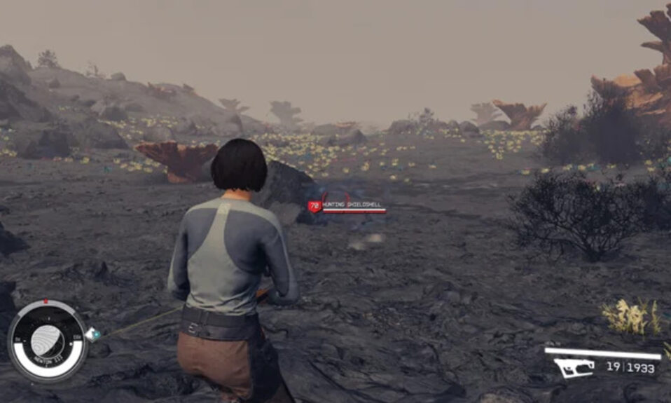 Player facing invisible creatures in Starfield